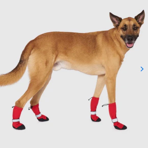 CANADA POOCH Soft Shield Boots - Picture 2 of 12